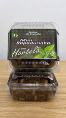 MINI RAPADURA HORTELA 120G