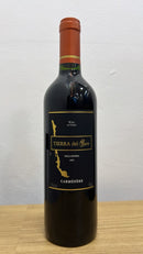 VINHO CH TIERRA DEL SUL CARMENET TT 750ML